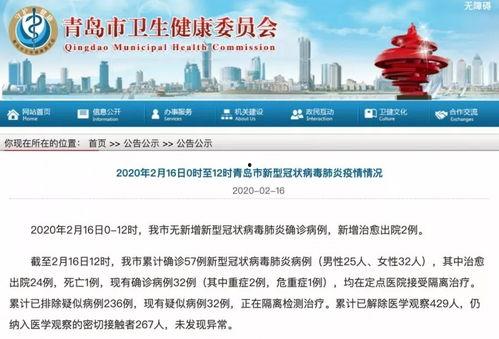 今日青岛爆料最新消息,揭秘神秘事件背后的真相  第2张